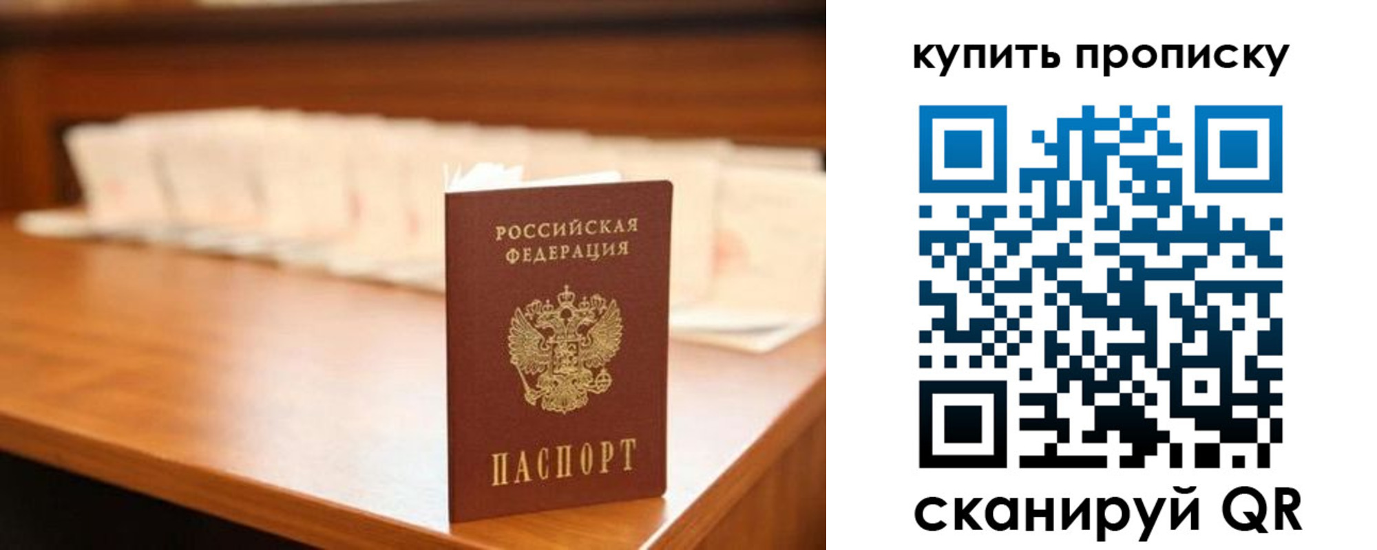 прописка 2025 в Светлограде